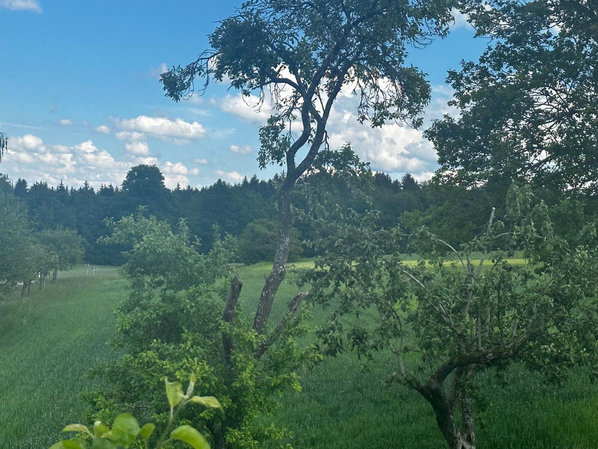Ferienunterkunft Schwaebischer Wald Oberrot Bagian luar foto